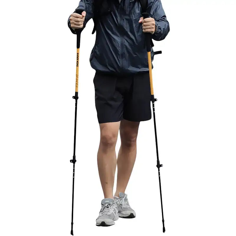 Bâton randonnée montagne aluminium robuste