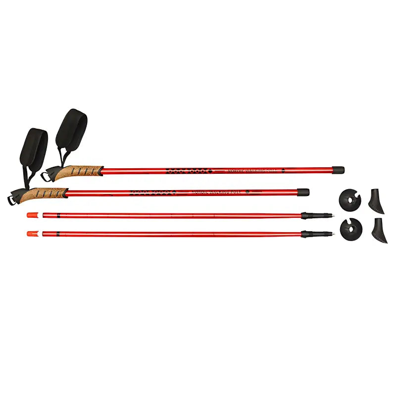 Bâton marche nordique randonnée aluminium 6061