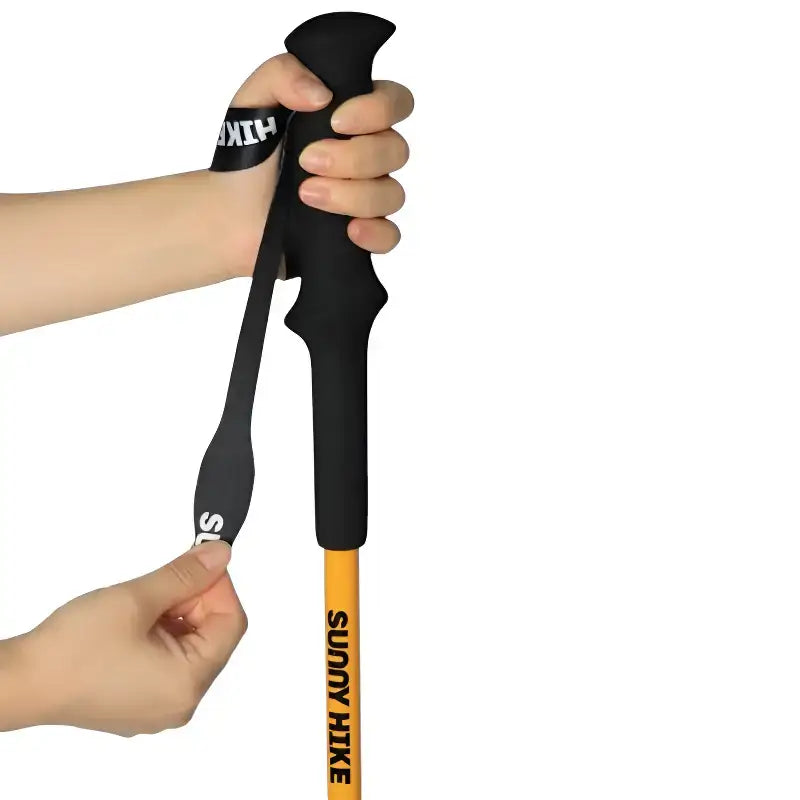 Bâton randonnée montagne aluminium robuste