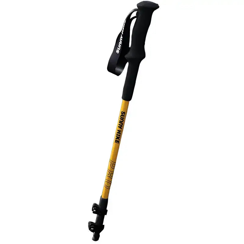 Bâton randonnée montagne aluminium robuste