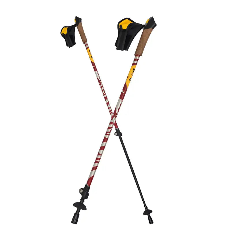 Bâton marche nordique tous terrains robuste