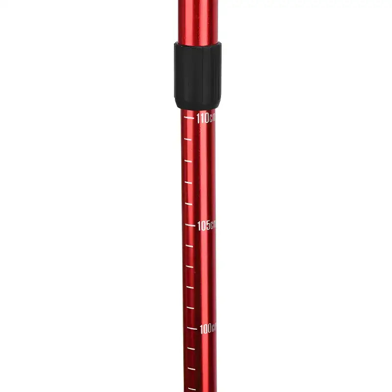 Bâton randonnée télescopique composite mixte