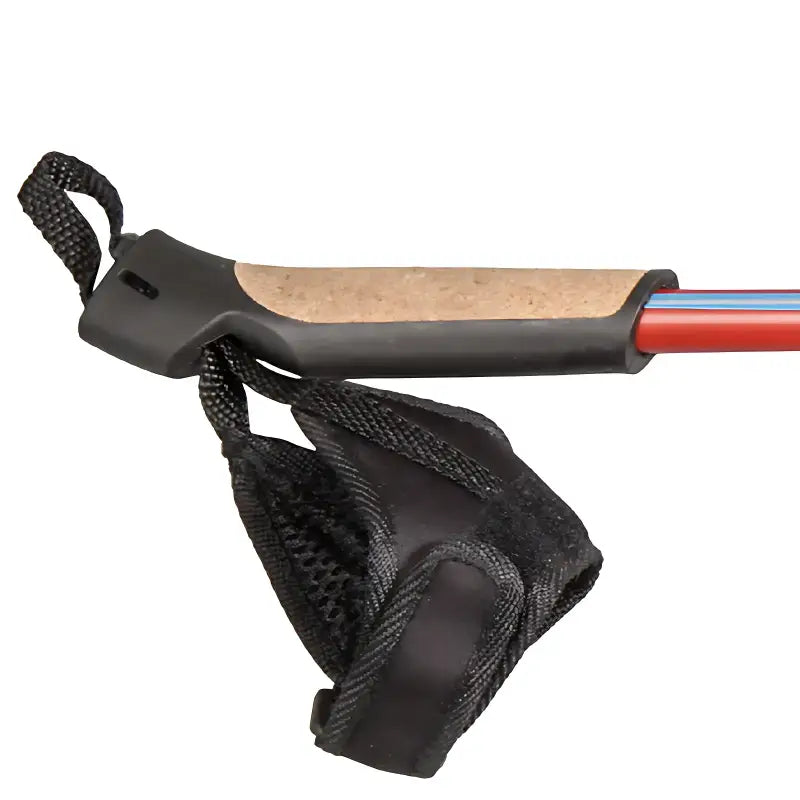 Bâton marche nordique sport aluminium