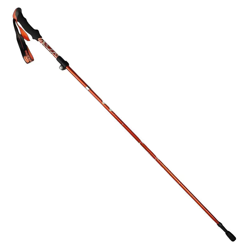 Bâtons de trail bivouac aventure