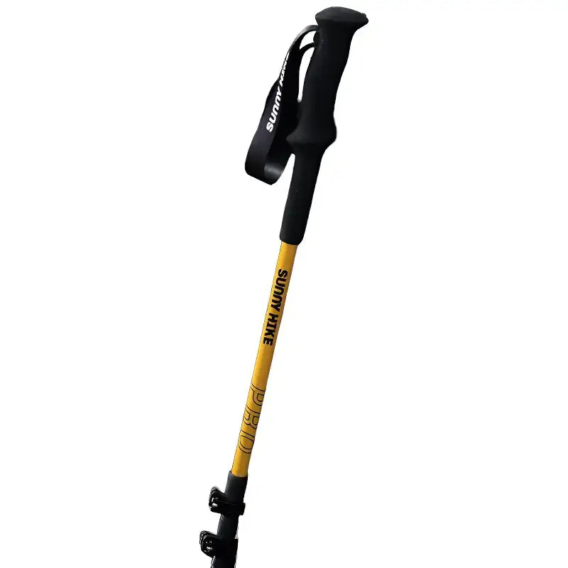 Bâtons de trail léger technique