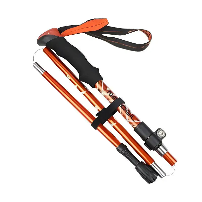 Bâtons de trail bivouac aventure