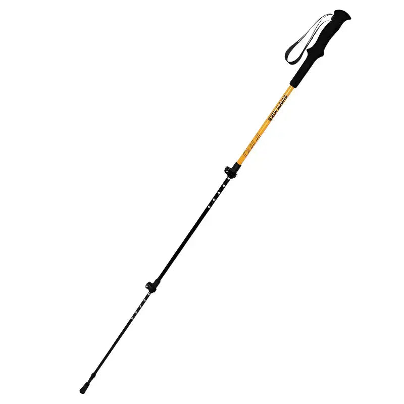 Bâtons de trail léger technique