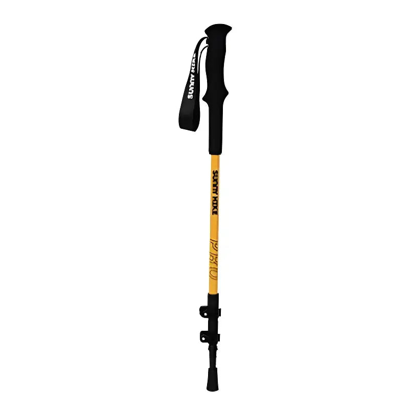 Bâton randonnée montagne aluminium robuste