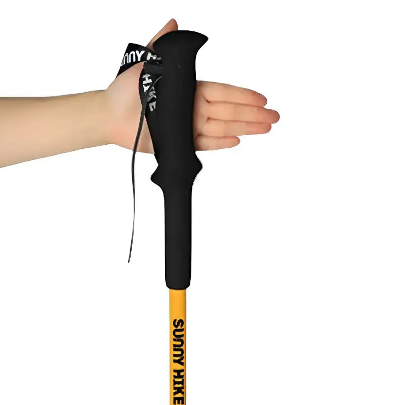 Bâton randonnée montagne aluminium robuste