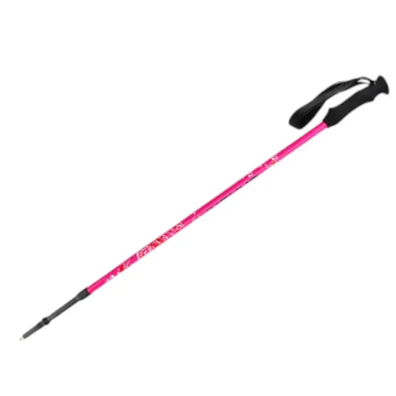 Bâtons de marche nordique