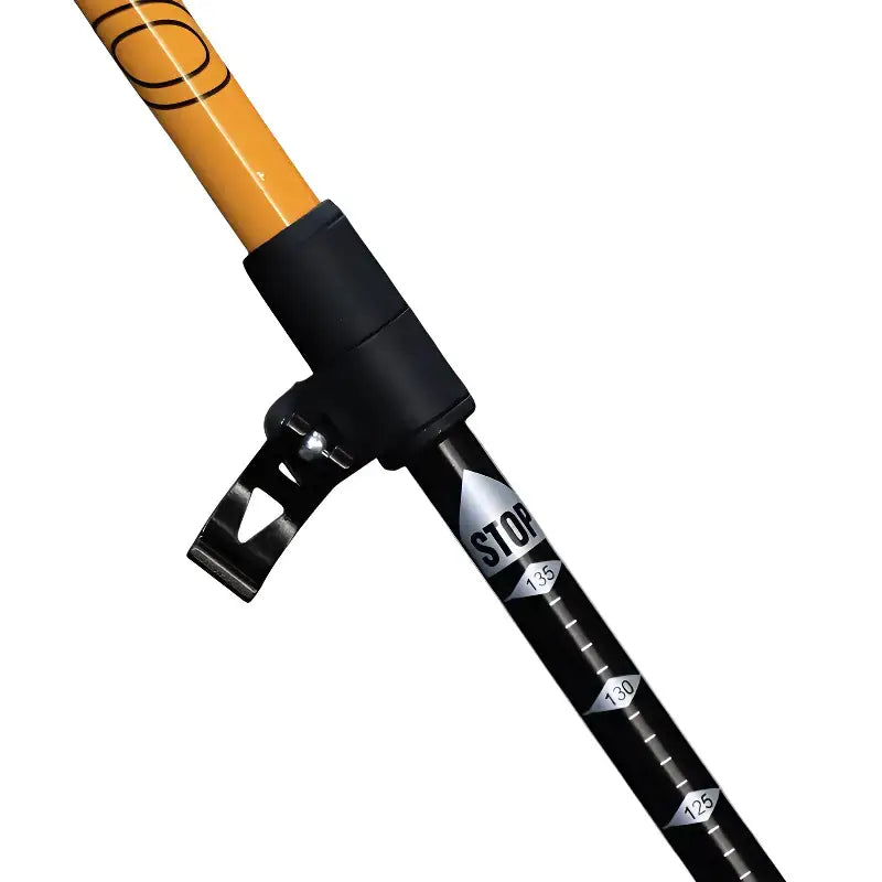 Bâton randonnée montagne aluminium robuste