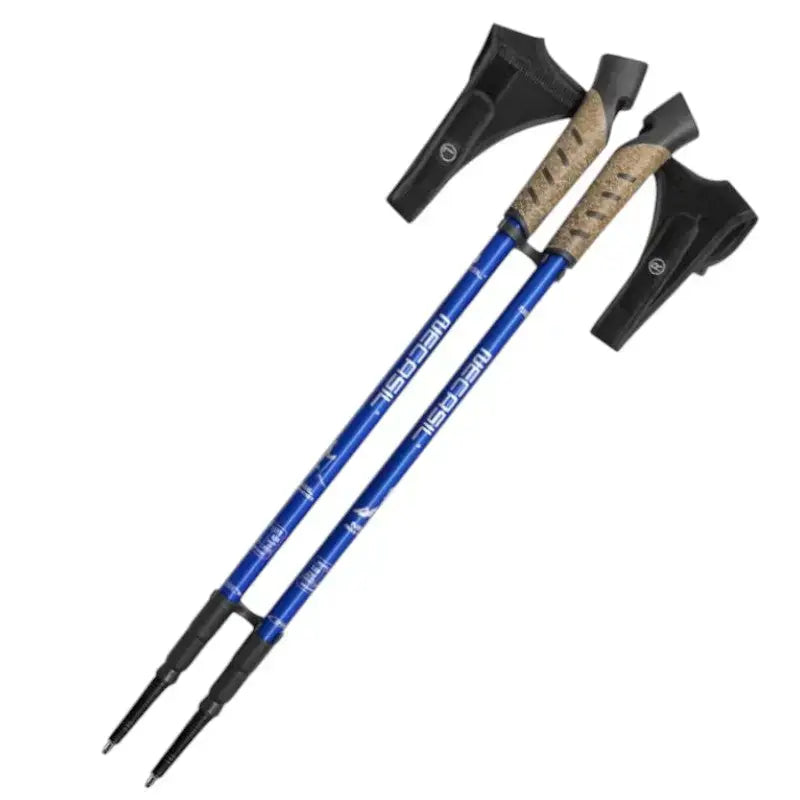 Bâton marche nordique sport premium tungstène