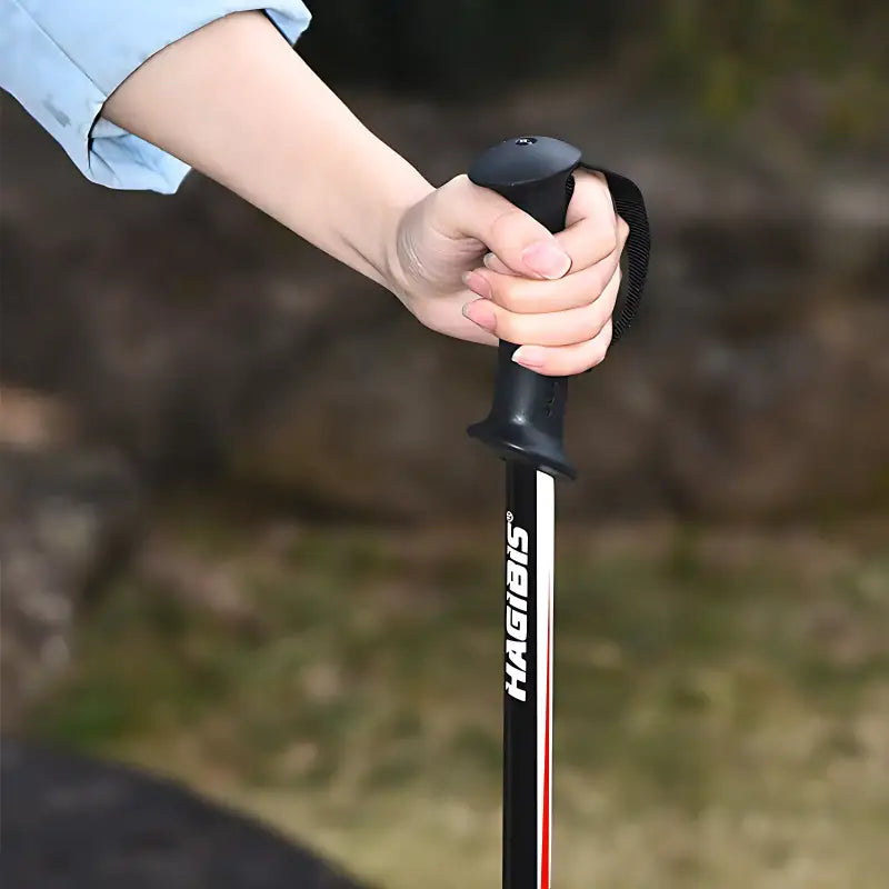 Bâton randonnée neige fixe pointe glace