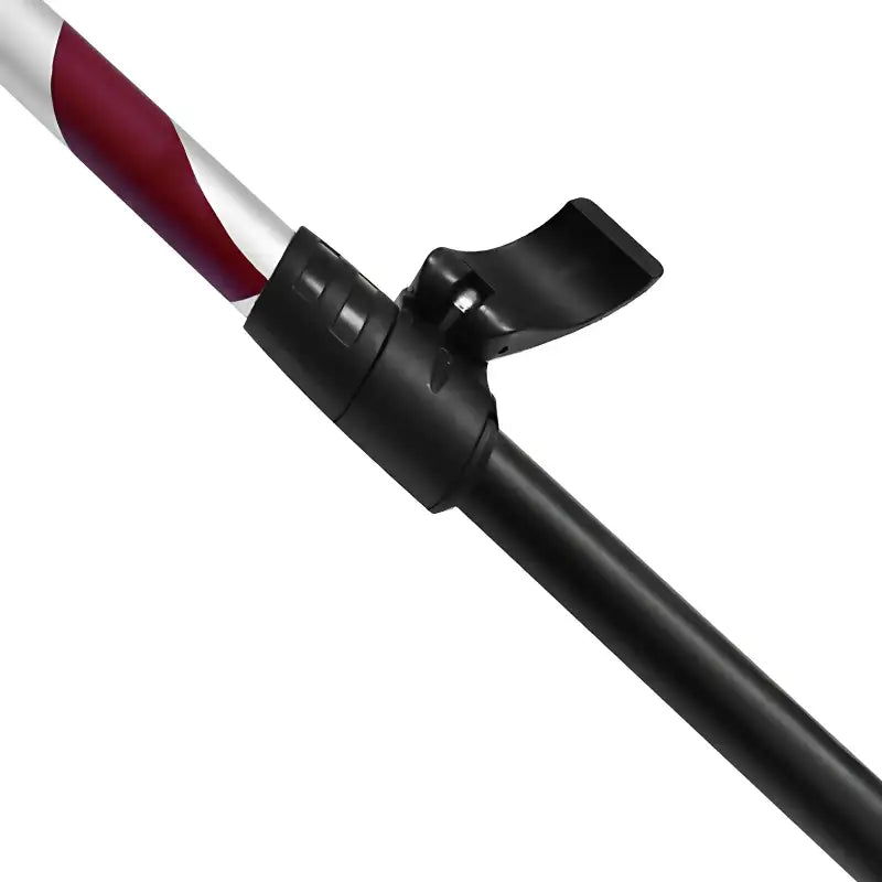 Bâton trekking montagne neige rondelle