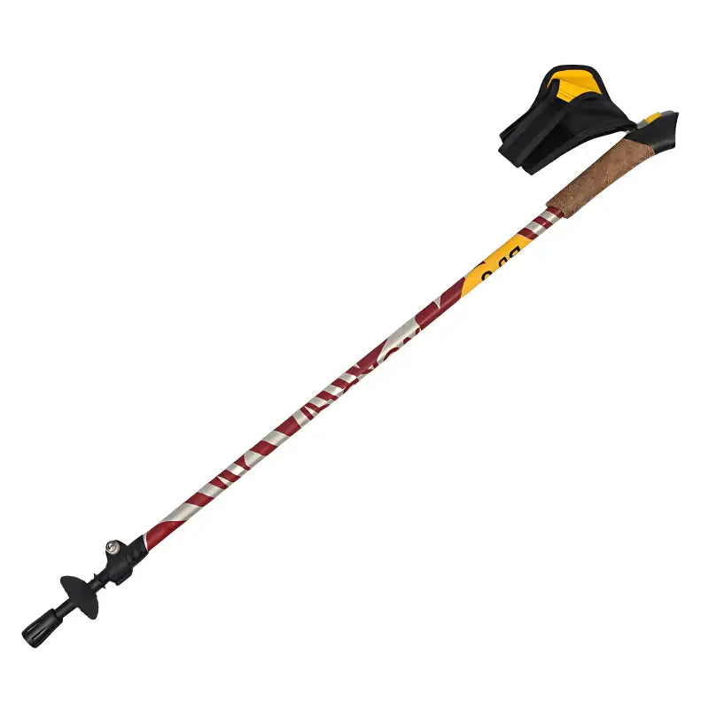 Bâton marche nordique tous terrains robuste