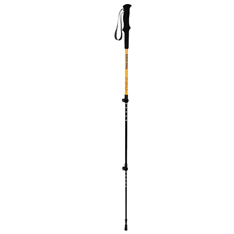 Bâton randonnée montagne aluminium robuste