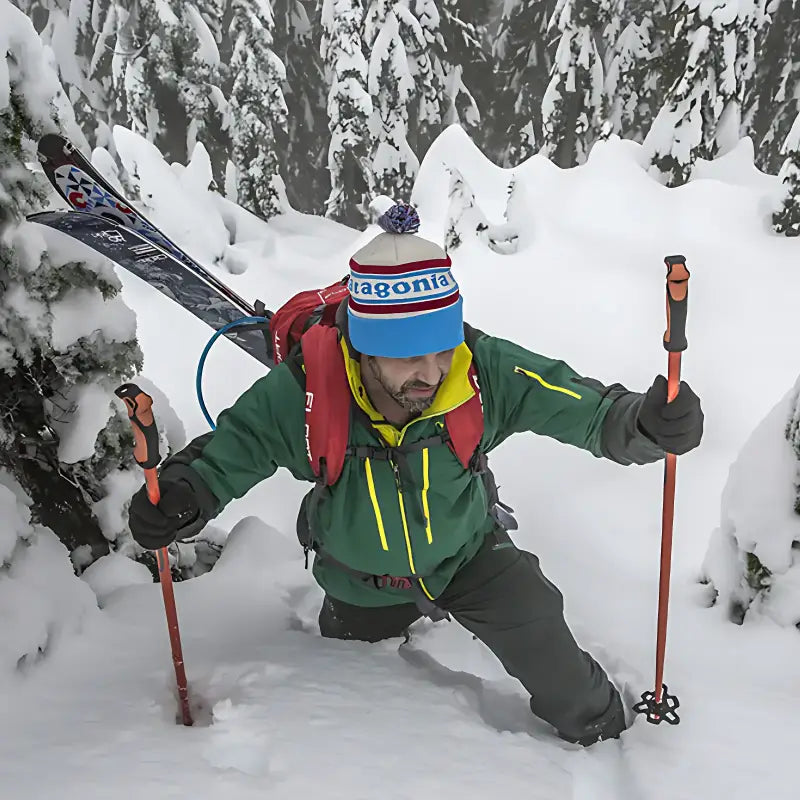 Bâton marche nordique sport aluminium