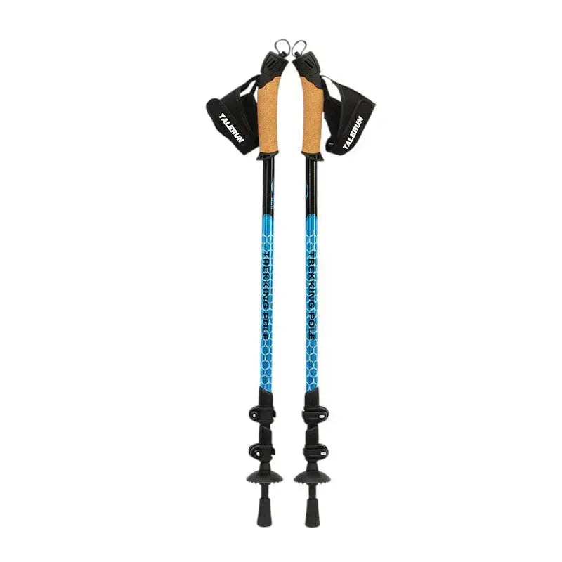 Bâton de marche nordique performant