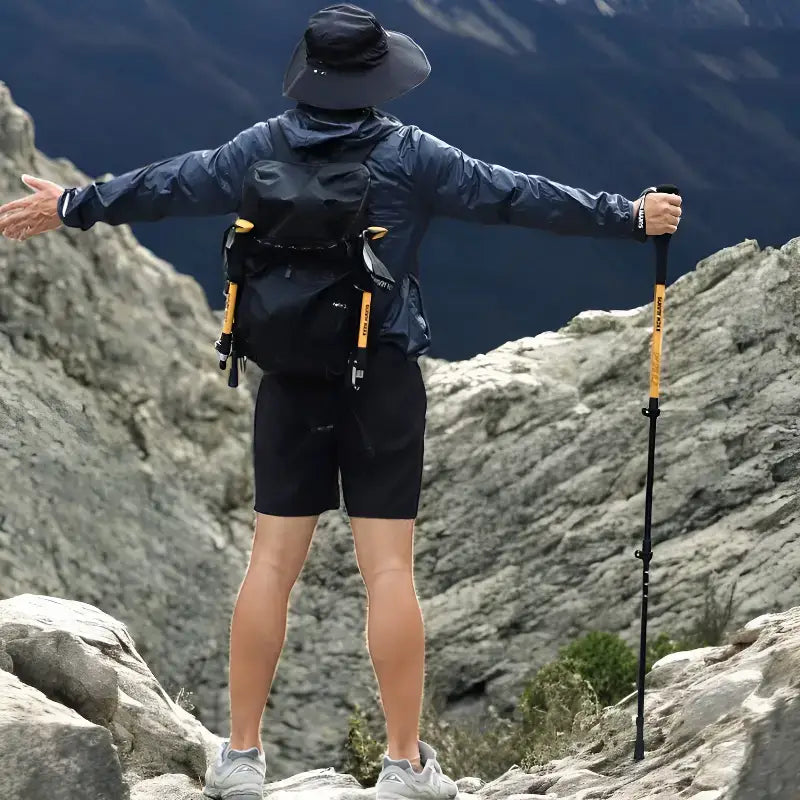 Bâton randonnée montagne aluminium robuste