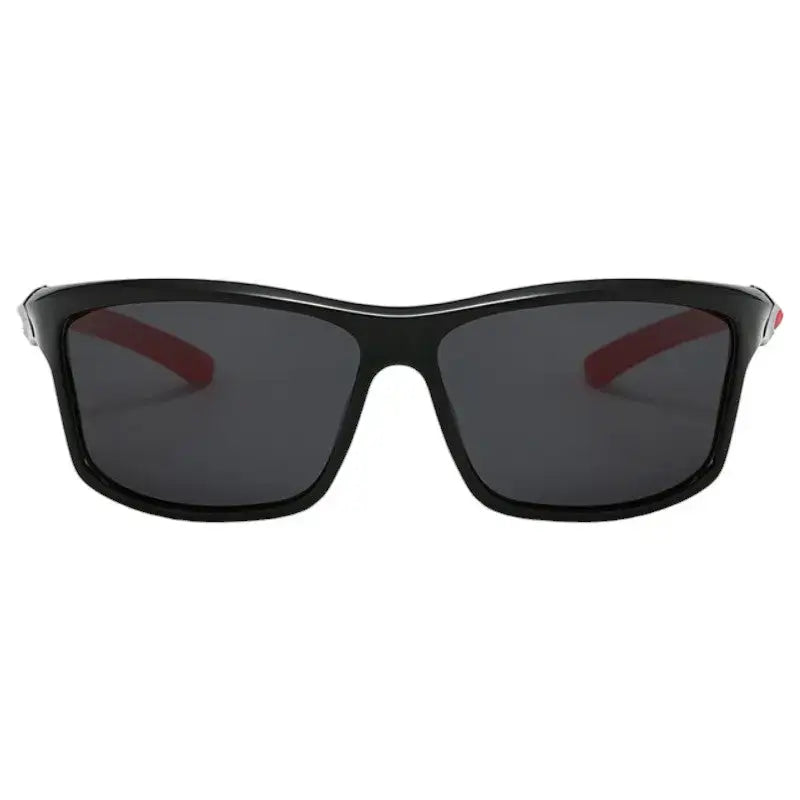 Lunettes soleil polarisées catégorie 2 jour