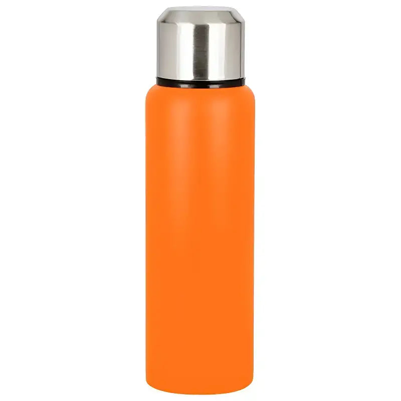 Gourde isotherme montagne 600ml adulte