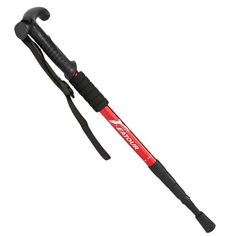 Bâtons de marche randonnée performant