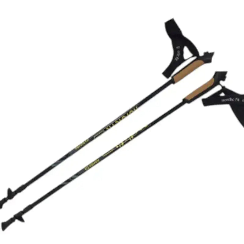 Bâton marche nordique composite mixte