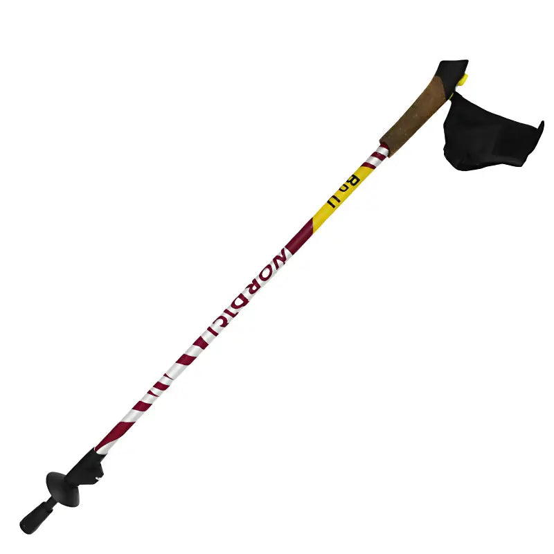 Bâton trekking montagne neige rondelle