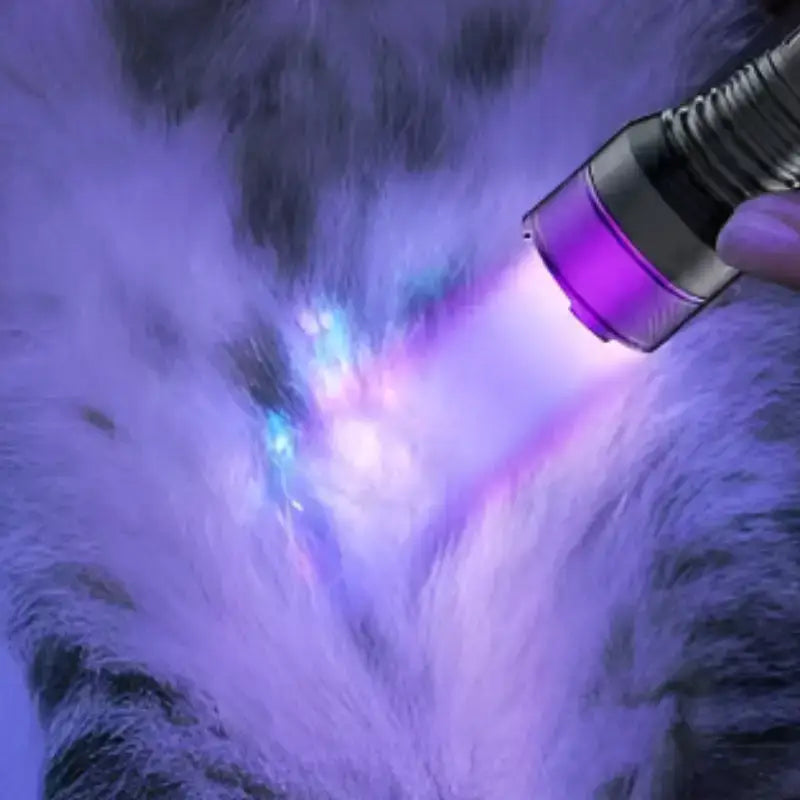 Lampe torche uv 365nm détection spécialisée