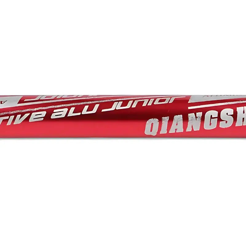 Bâton randonnée antichoc aluminium