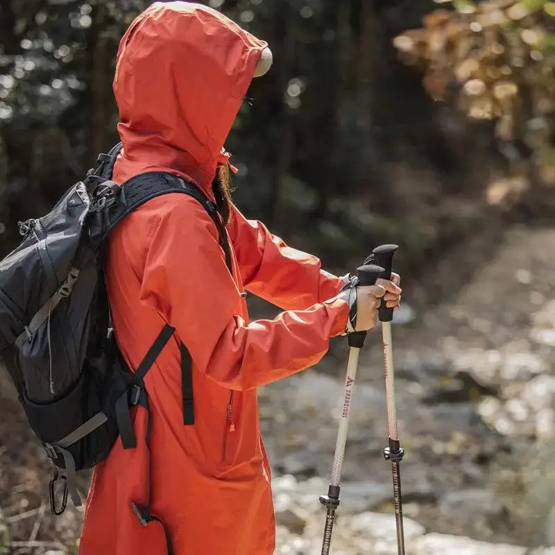 Bâton de randonnée compact montagne