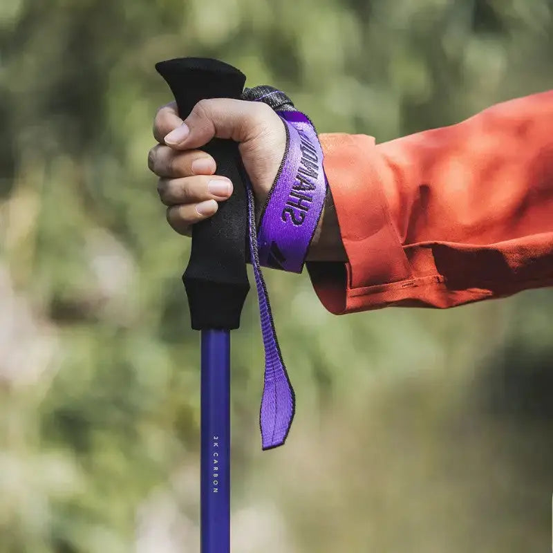 Bâton de randonnée compact montagne