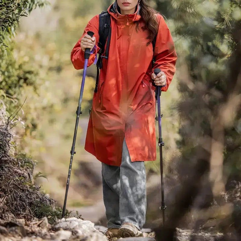 Bâton de randonnée compact montagne