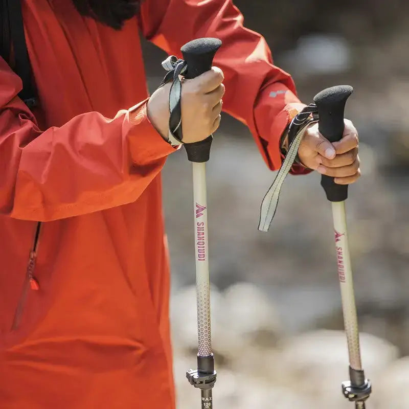 Bâton de randonnée compact montagne