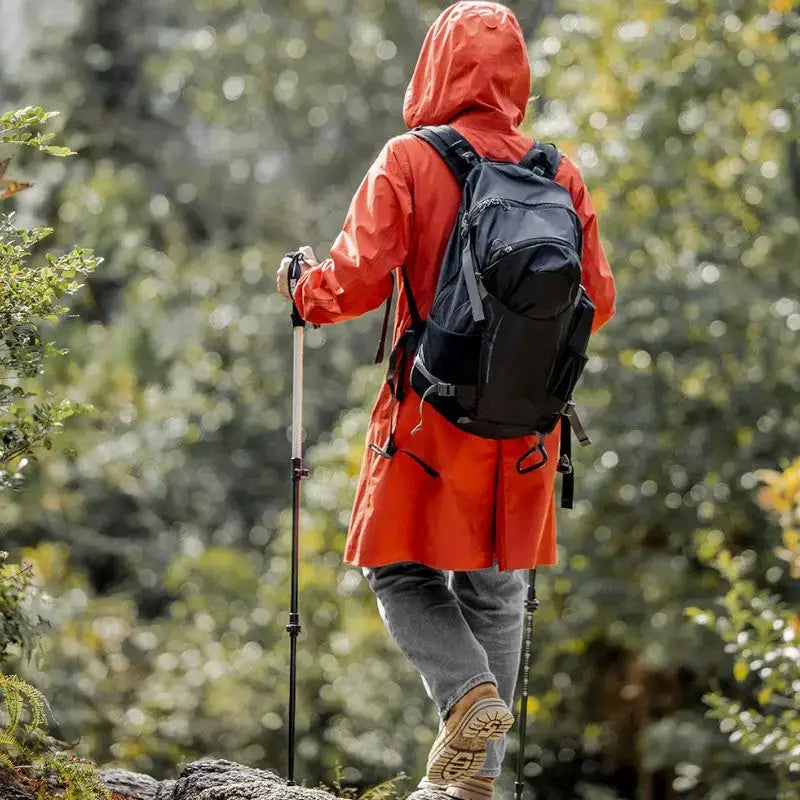 Bâton de randonnée compact montagne
