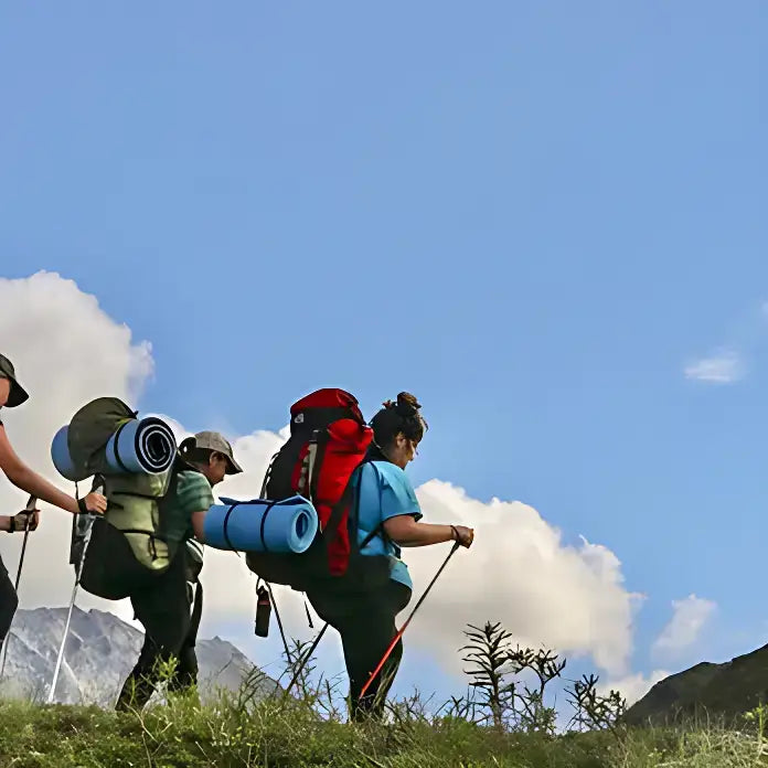 Bâton trail compact pliable léger