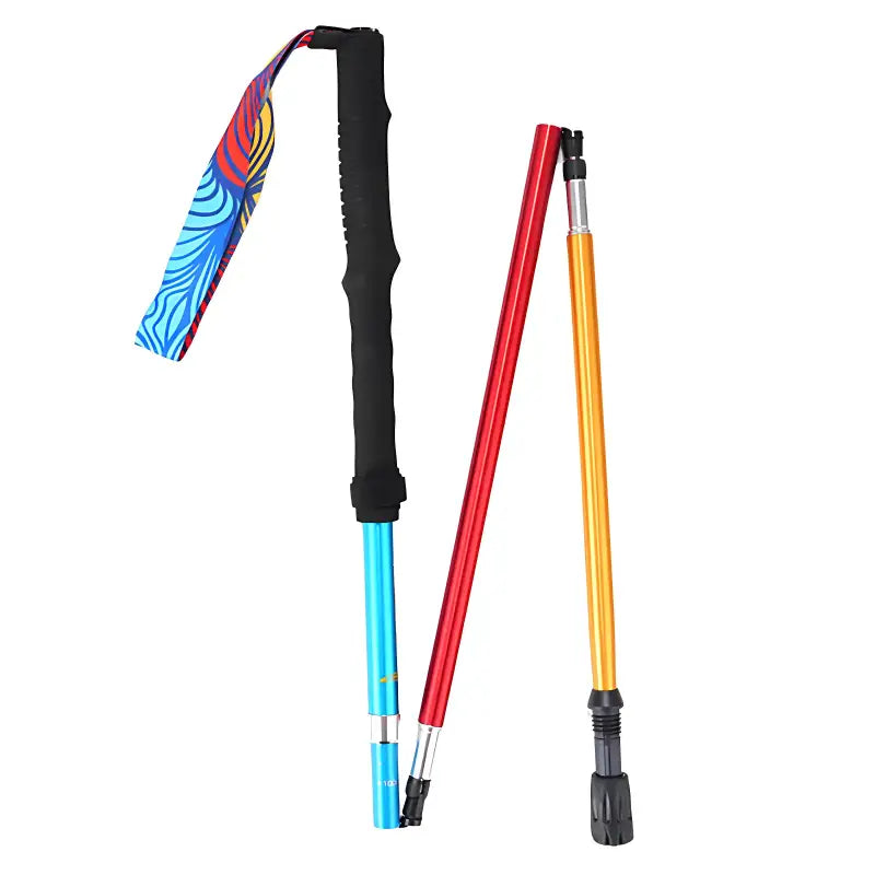 Bâton de trail plein air