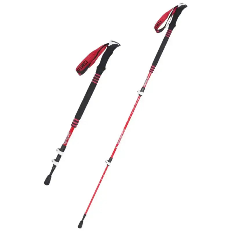 Bâton de trail randonnée technique