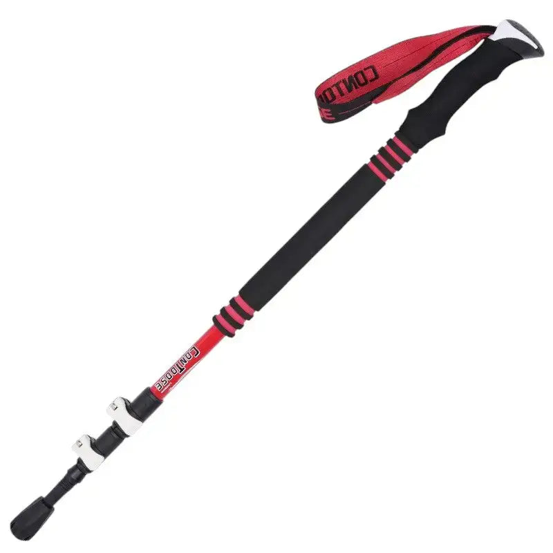 Bâton de trail randonnée technique