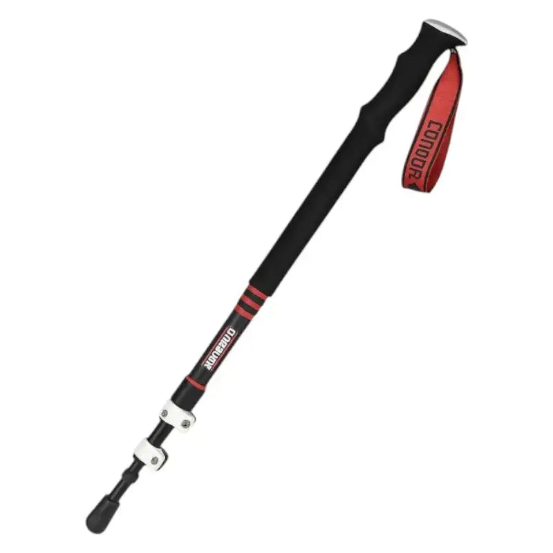 Bâton de trail randonnée technique