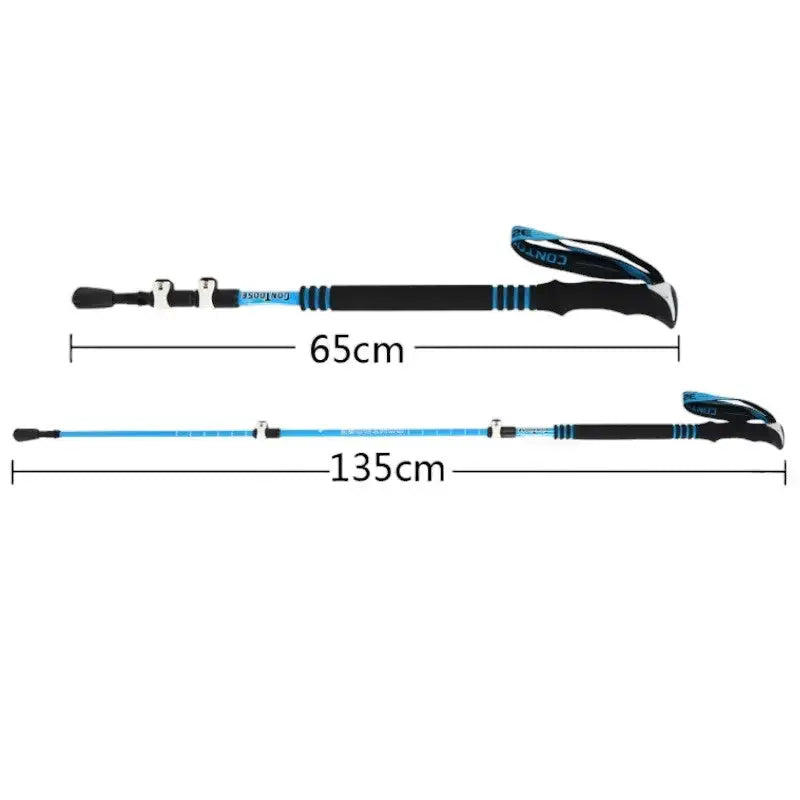 Bâton de trail randonnée technique