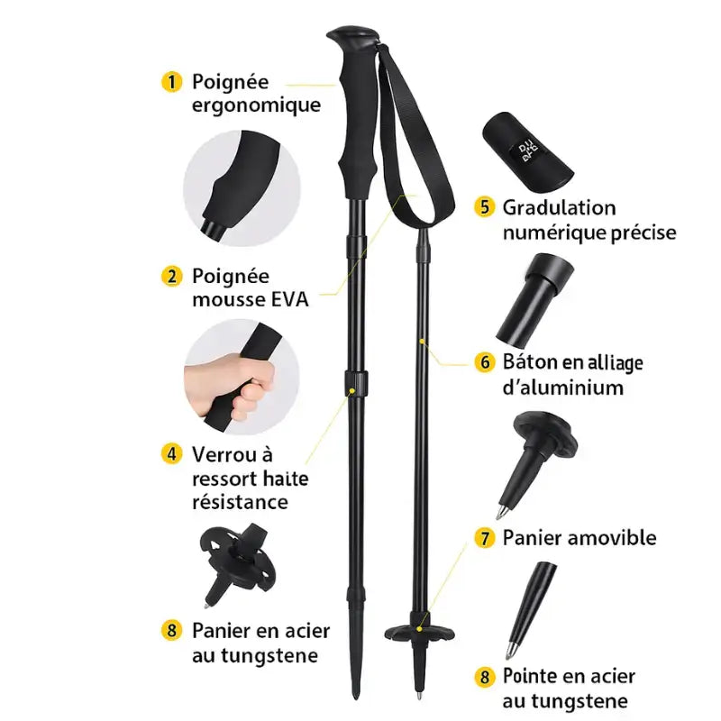 Bâton trail trek montagne robuste