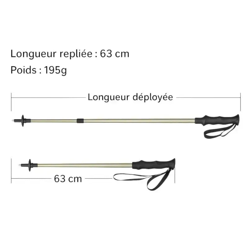 Bâton trail trek montagne robuste