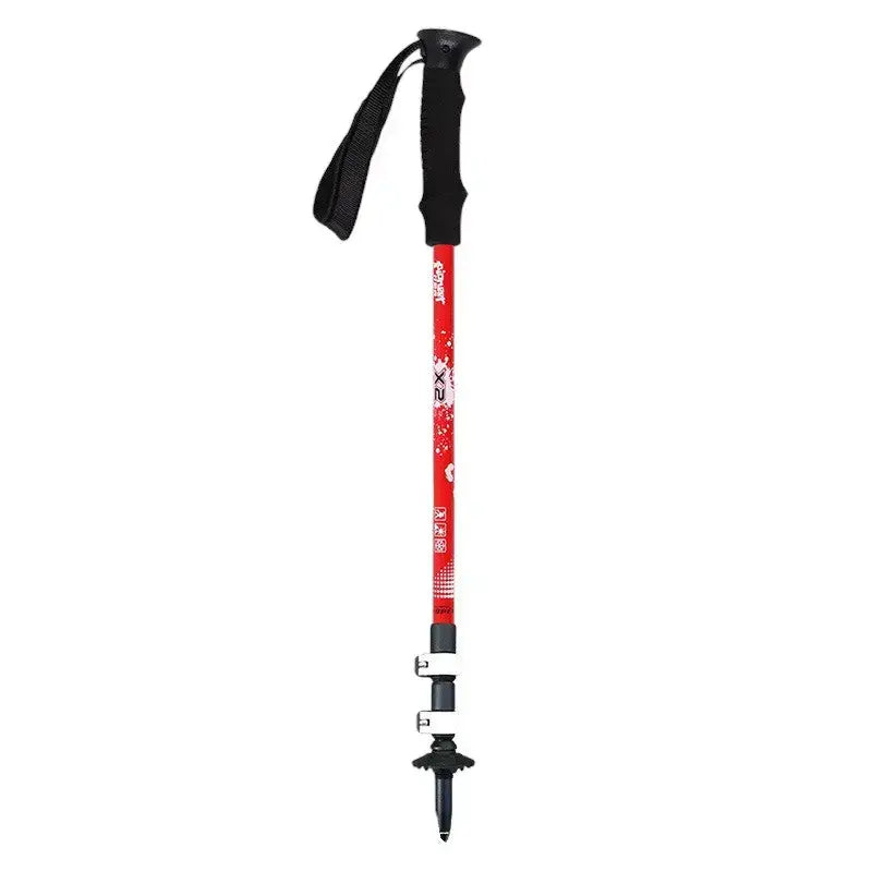 Bâton de trail trekking sport