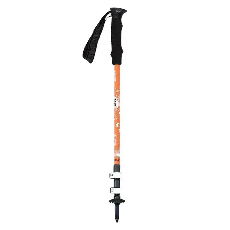 Bâton de trail trekking sport