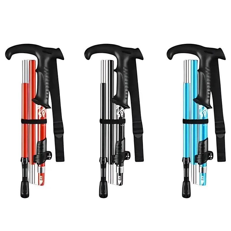 Bâtons de randonnée performance technique