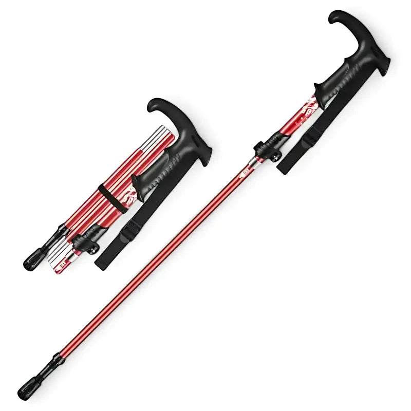 Bâtons de randonnée performance technique