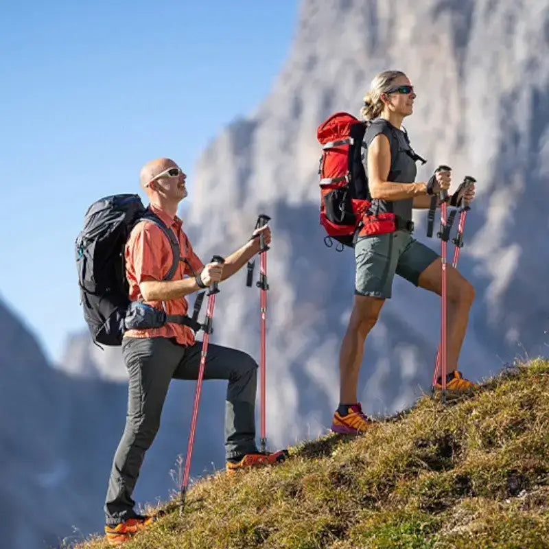 Bâtons de randonnée performance technique