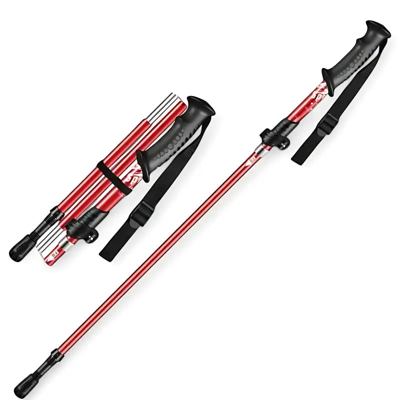 Bâtons de randonnée performance technique