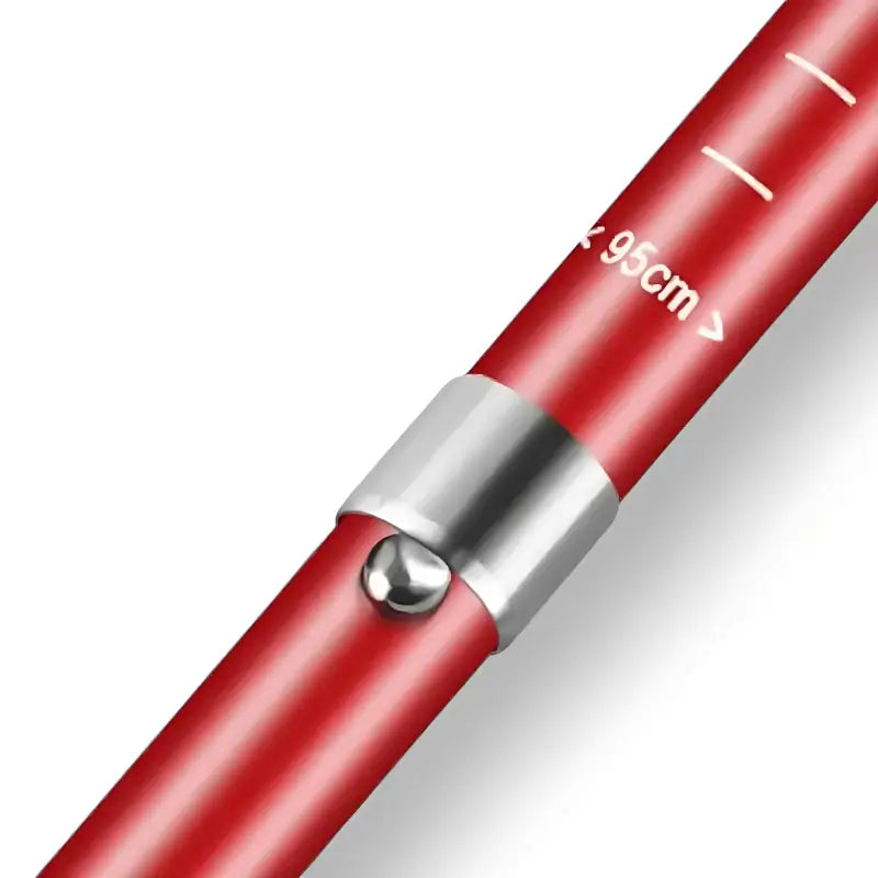 Bâtons de randonnée performance technique